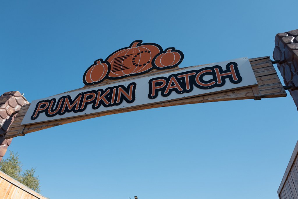 KC Pumpkin Patch 2024